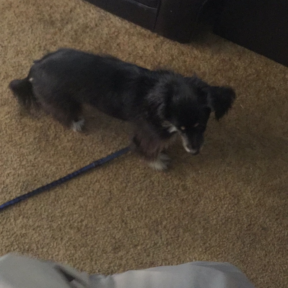 Meet your Posher, Araceli